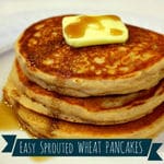 DaNelle's Easy Sprouted Wheat Pancakes