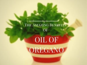 6 Incredible Uses for Oil of Oregano (Internal & Topical)
