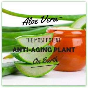 How to Use Aloe Vera to Reduce Wrinkles (Backed by Science)