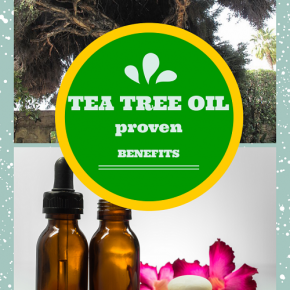tea tree oil health benefits uses