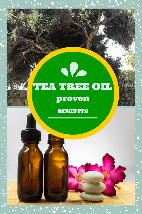 tea tree oil health benefits uses
