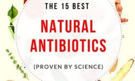 best natural antibiotics proven remedies viruses and bacteria