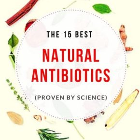 best natural antibiotics proven remedies viruses and bacteria