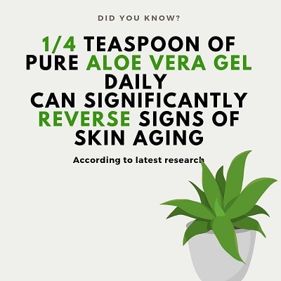 is aloe vera good for wrinkles