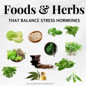 foods that reduce stress hormones
