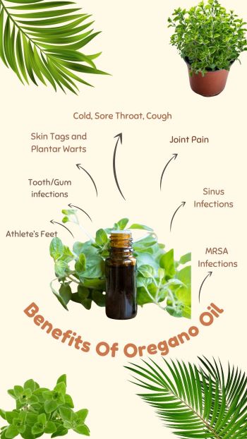 how to use oregano oil as a remedy for common conditions
