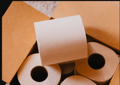 plant paper toilet paper BPA free, no bleach, no checmicals