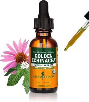 echinacea golden seal extract
